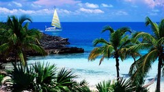 Point Islands harbours