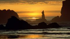 Point Islands Oregon wildlife National refuge coquilla