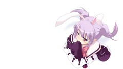 Pointy ears Lotte no