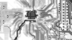 Pokemon anything goes go