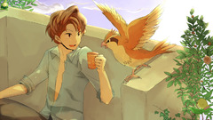 Pokemon Bellsprout Pidgey