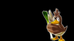 Pokemon Birds black background