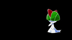 Pokemon black background