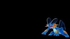 Pokemon black background Swampert