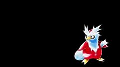 Pokemon Delibird black background
