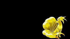 Pokemon Fractalius Ninetails black