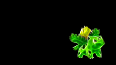 Pokemon Ivysaur black background