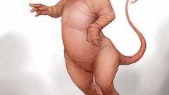 Pokemon Mewtwo mew reality