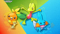 Pokemon Mudkip Treeko Torchic