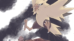 Pokemon Mudkip Zapdos charmander