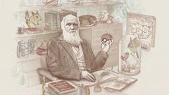 Pokemon Pikachu Poke Balls