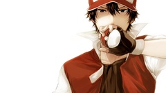 Pokemon Poke Balls Simple