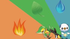 Pokemon pokemon battle Pokemon Crystal Pokemon Fire Pokemon 