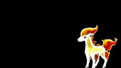 Pokemon Ponyta