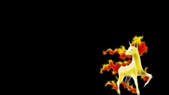 Pokemon rapidash black background