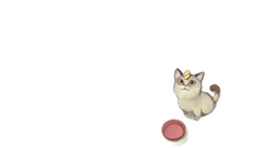 Pokemon realistic Meowth cats