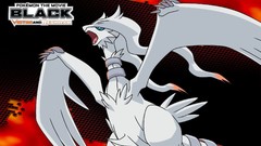 Pokemon Reshiram