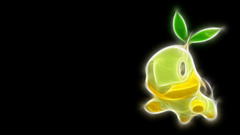 Pokemon Simple Background black