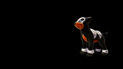 Pokemon Simple Background black