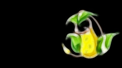 Pokemon Simple Background black