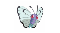 Pokemon Simple Background Butterfree