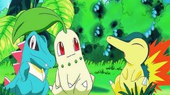Pokemon totodile cyndaquil Chikorita