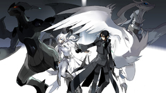 Pokemon Zekrom Reshiram