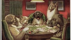 Poker Dogs