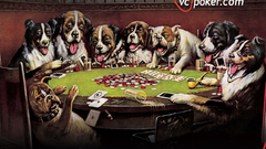 Pokerdogs