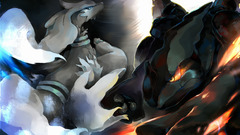 Pokmon Reshiram amp Zekrom