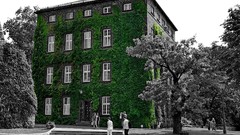 Poland selective coloring Kraków Wawel