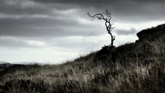 Pollnabrock II by younghappy