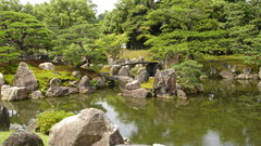 Ponds Landscapes Trees rocks