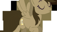 Pony doctor whooves My