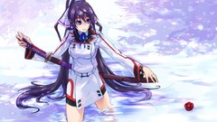 Ponytails shinonono houki Swords