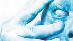 Porcupine tree nature