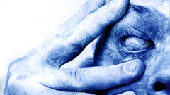 Porcupine tree nature