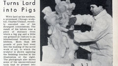 Pork fun funny sculpture