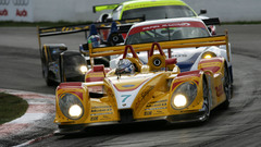 Porsche ALMS race storand