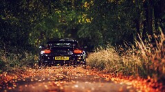 Porsche Car fall black cars road vehicle leaves forest gloss