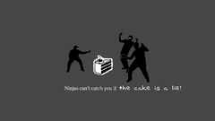 Portal ninjas cant catch