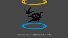 Portal ninjas ninjas cant
