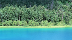 Posted constantly on This