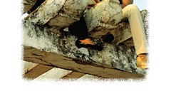 Posters movie posters Tollywood telugu Tamil