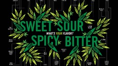 Pot marijuana common medical