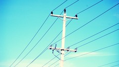 Power lines