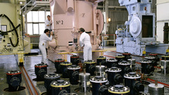 Power Plant high flower