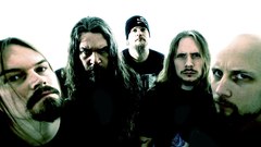 PP meshuggah and More