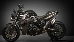 Predator BMW biker F800 chrome carbon fiber