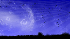 Prefect dual screen nature